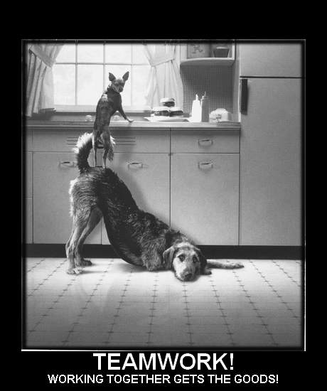 teamwork quotes pictures. trust and teamwork